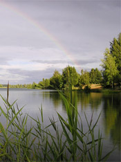 краски лета