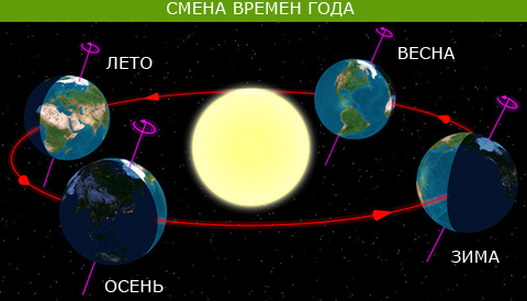 времена года