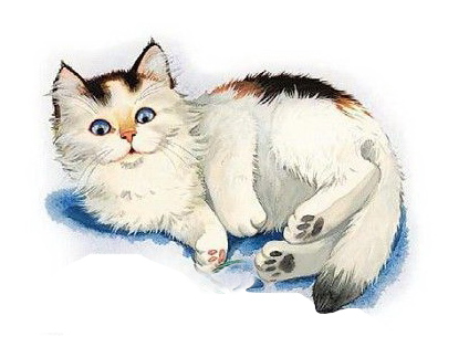 котенок