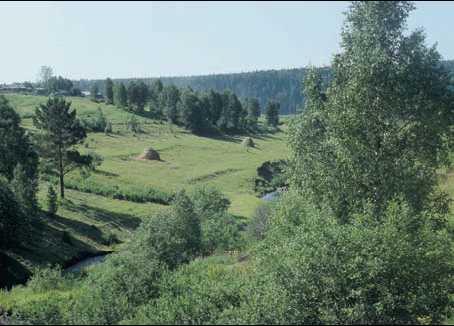 Западно-Сибирская равнина