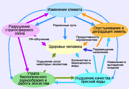 факторы влияющие на экосистему человека