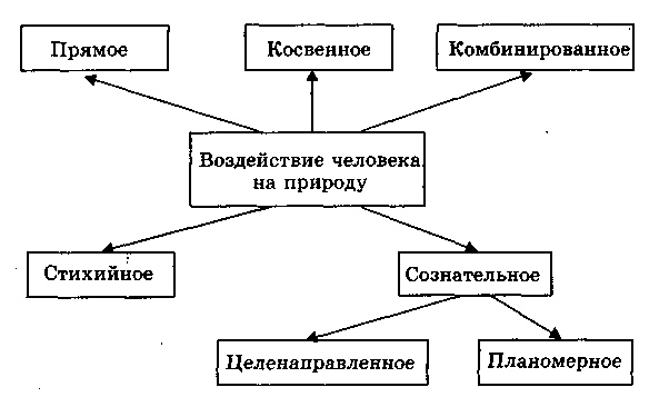 влияние деятельности человека на экосистему природы