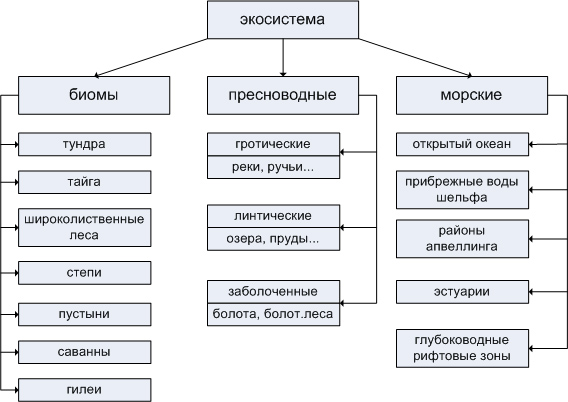 естественные экосистемы