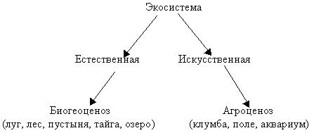 естественные и искусственные экосистемы схема