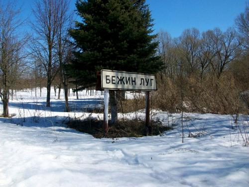 Бежин луг, Чернский район