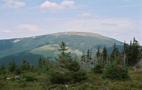 Кралицки-Снежик