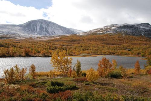 Доврефьелль