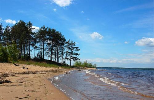 берег Рыбинского водохранилища