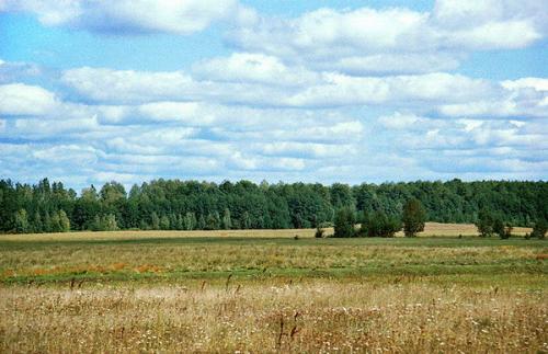 Полесская низменность