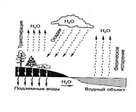 Круговорот воды в природе