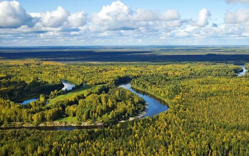 Западно-Сибирская равнина