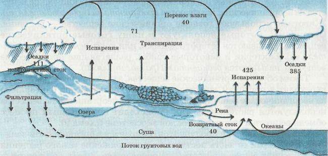 распределение воды в круговороте