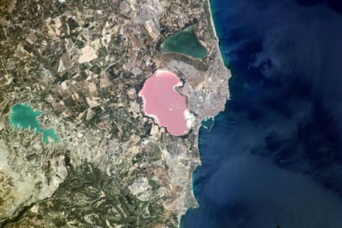 розовое Laguna Salada de Torrevieja и зелёное Laguna Salada de la Mata