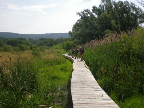 аппалачская тропа