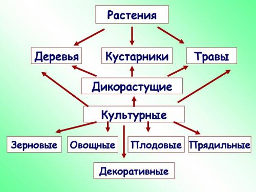 культурные и дикорастущие растения