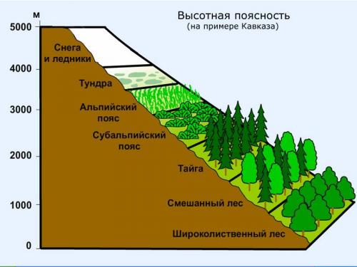 высотная зональность природных зон