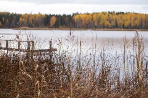 приметы осени в природе